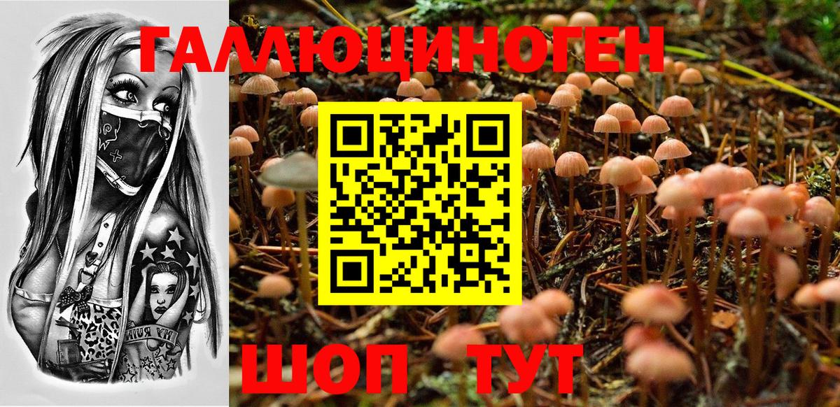 Галлюциногенные грибы Cubensis Ростов Великий